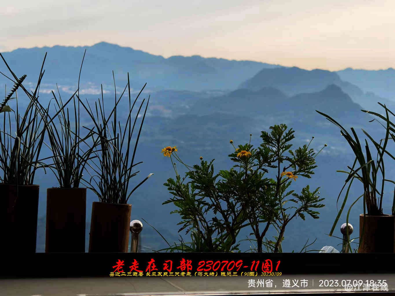 JYZ 20230709-11 T1 WBQ (14).jpg
