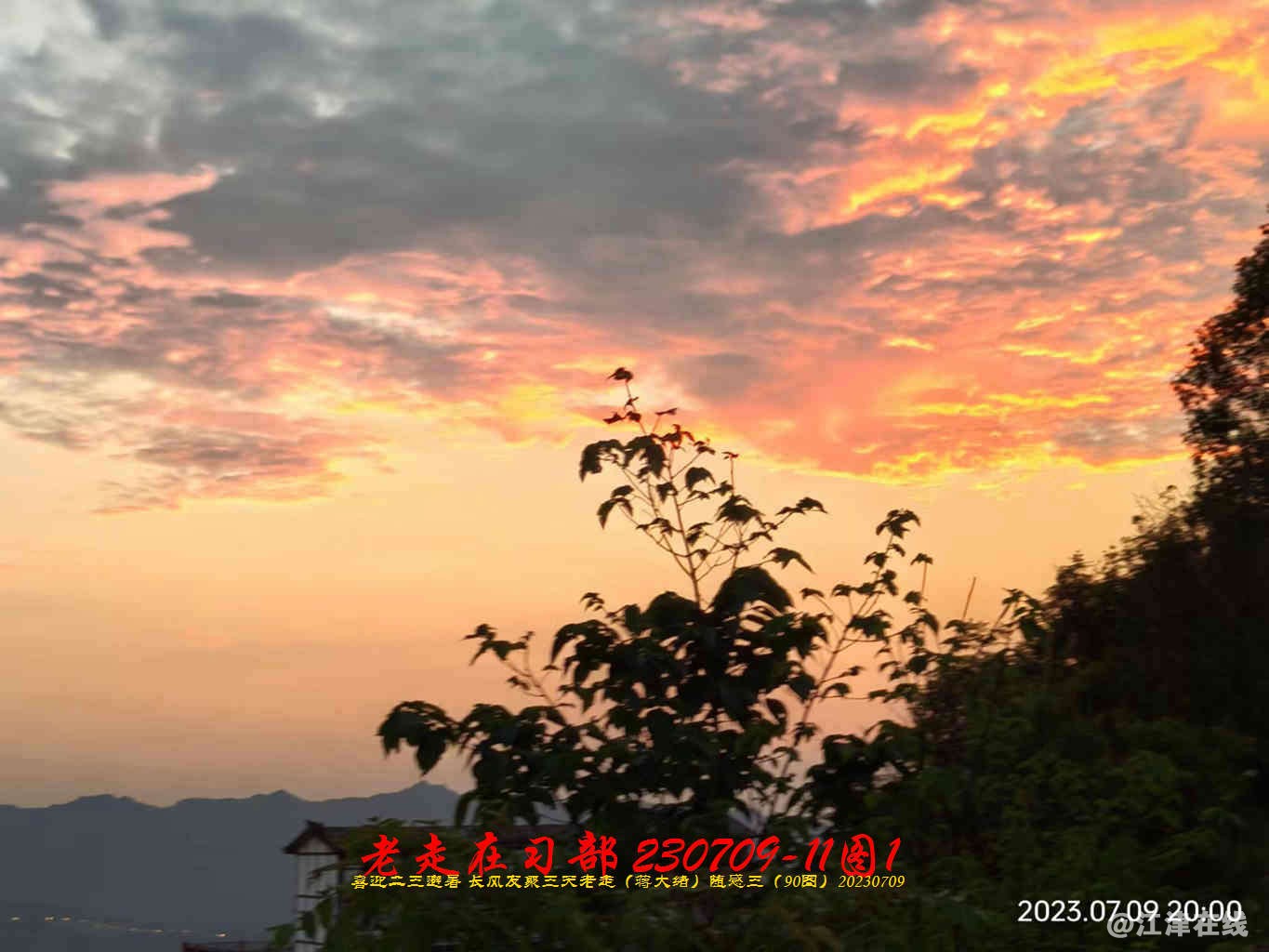 JYZ 20230709-11 T1 WBQ (82).jpg