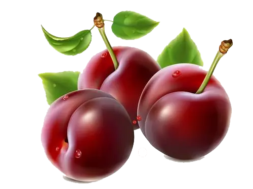 23f233bdef89522493aba51956a3e607.png