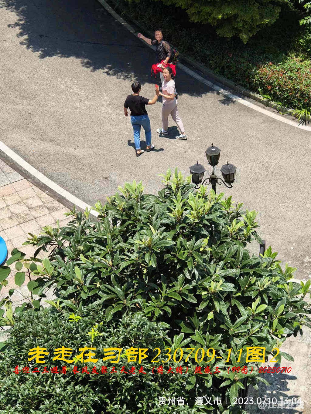 JYZ 20230709-11 T2 WBQ (64).jpg