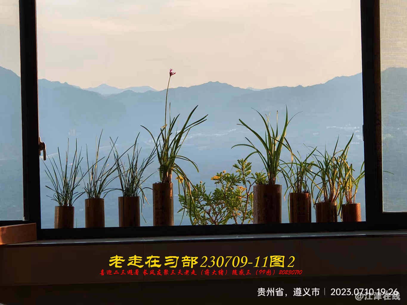 JYZ 20230709-11 T2 WBQ (91).jpg