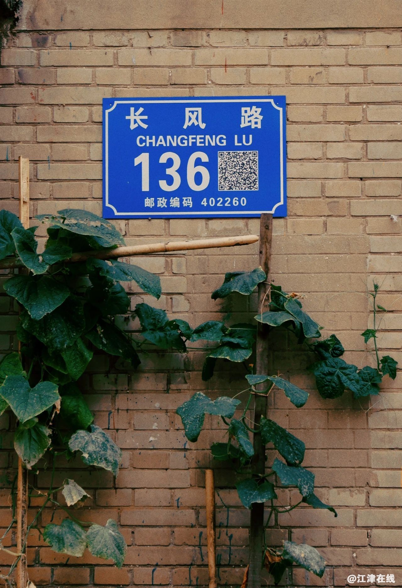 e52fe056c109e4637b787936bc8080d6.jpg