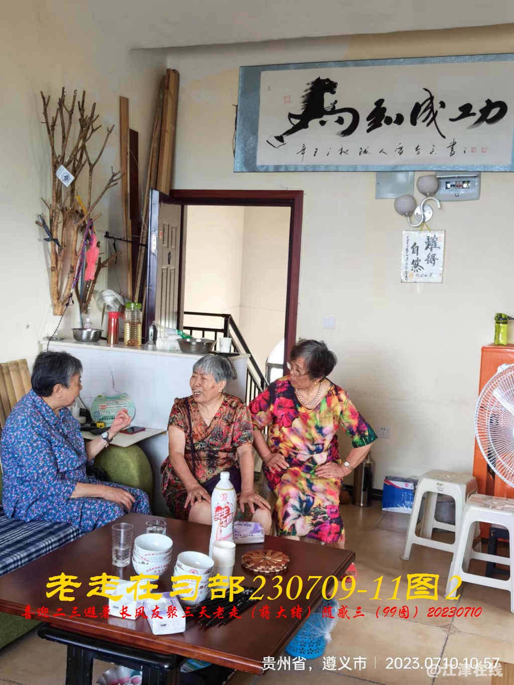 JYZ 20230709-11 T2 WBQ (22).jpg