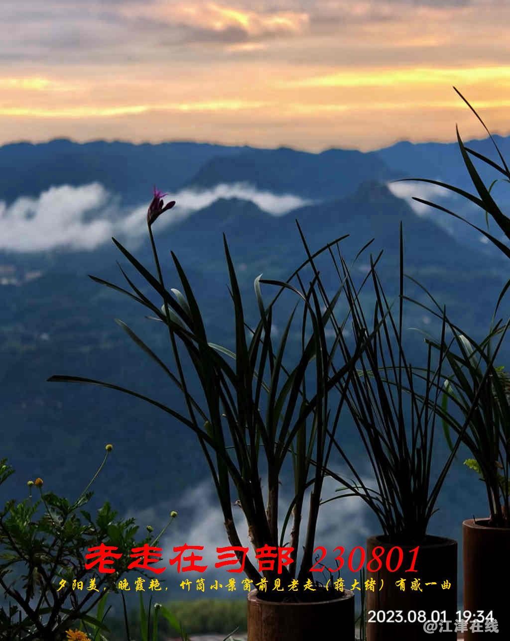 JYZ 20230801 WBQ (28).jpg