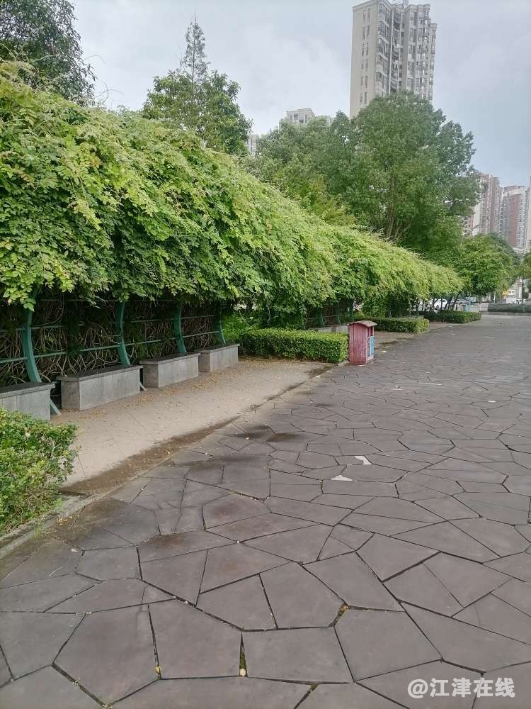 20230807101335front2_0_438323_Fgcqz7wnKsS9fJZriOJqyZmZlA6s.jpg