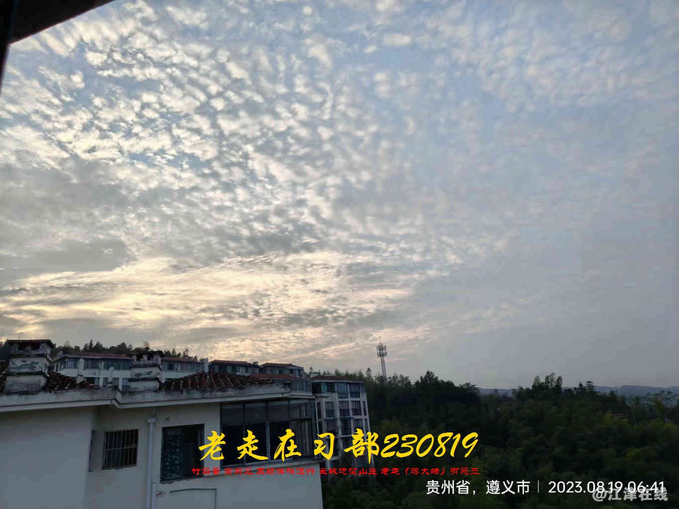 JYZ 20230819 WBQ (4).jpg