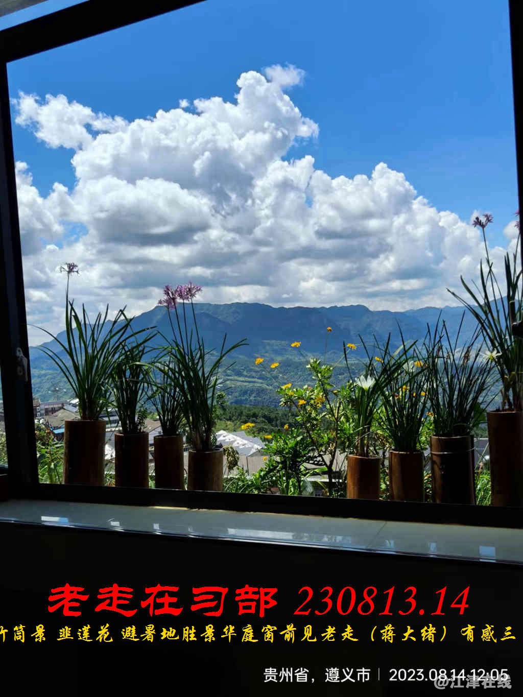 JYZ 20230813.14 WBQ (93).jpg