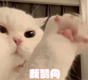 c614bdb2ab5cec28f3b0e1e8ca5d3f54.gif