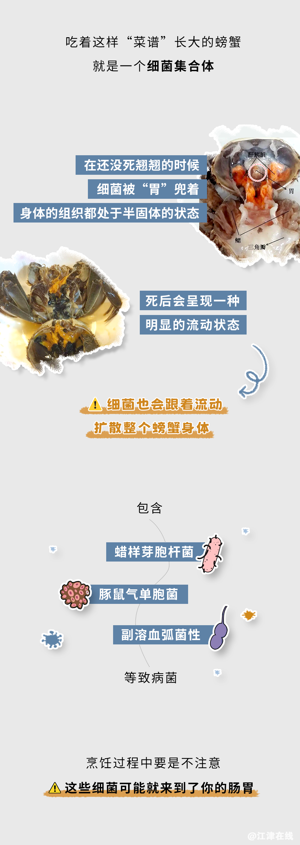 9108bff77ebfd84f31310cbfc568abe4.png