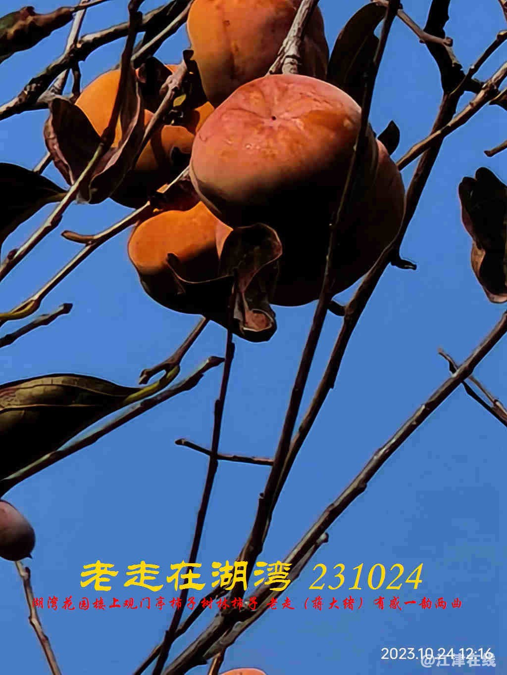 JYZ 20231024 WBQ (17).jpg
