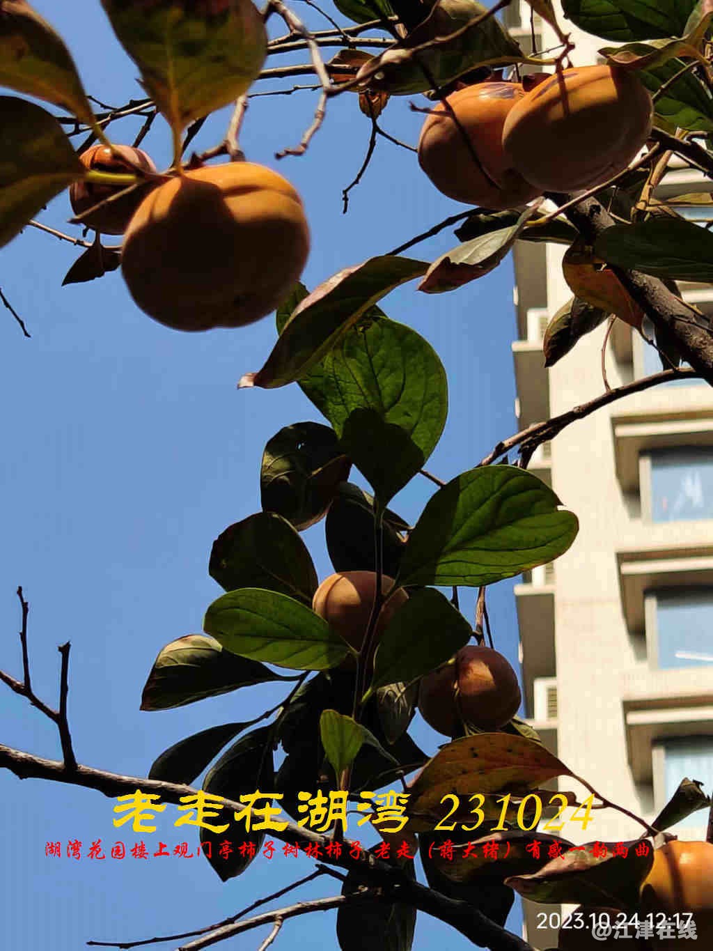 JYZ 20231024 WBQ (22).jpg