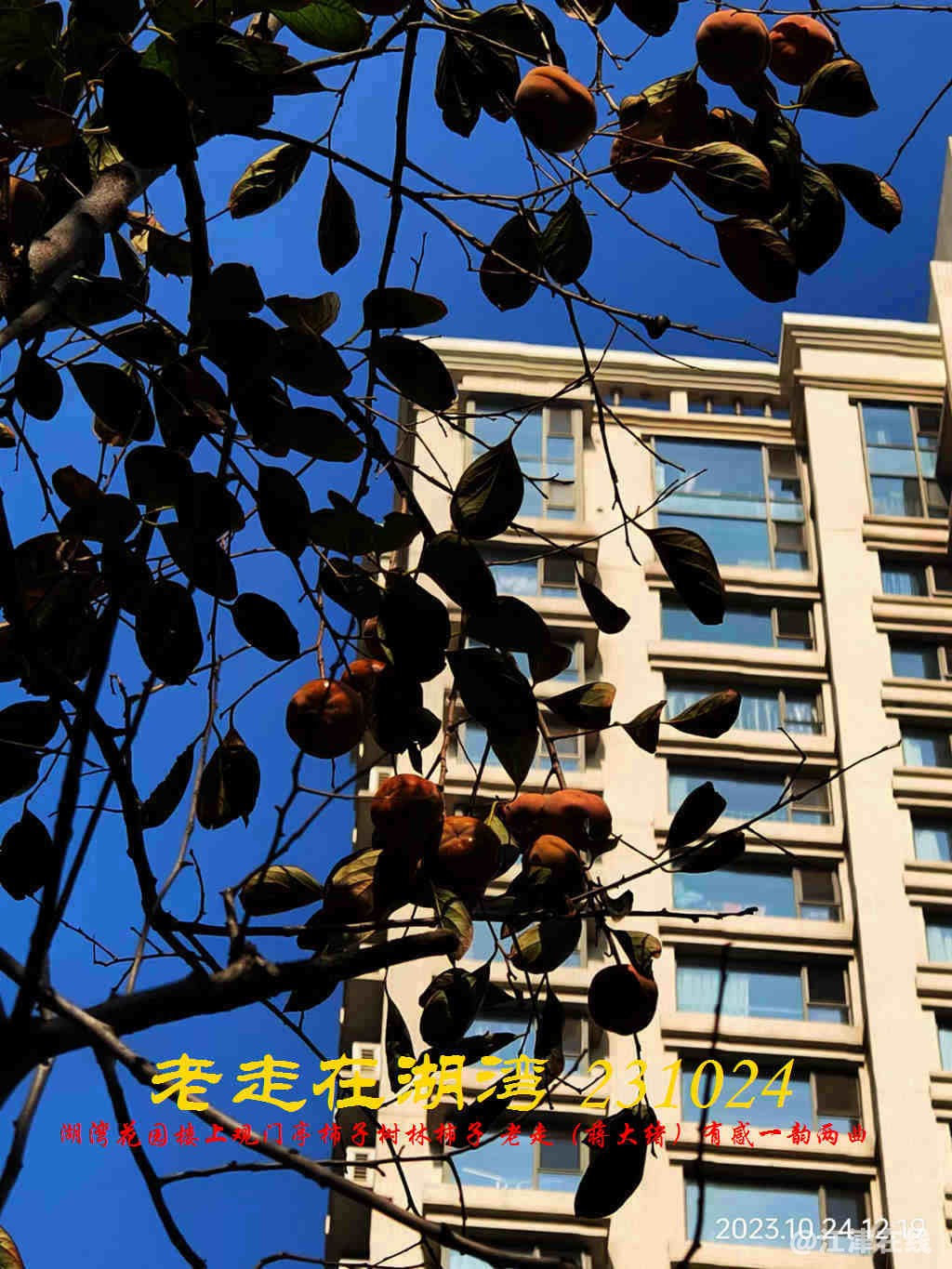 JYZ 20231024 WBQ (27).jpg