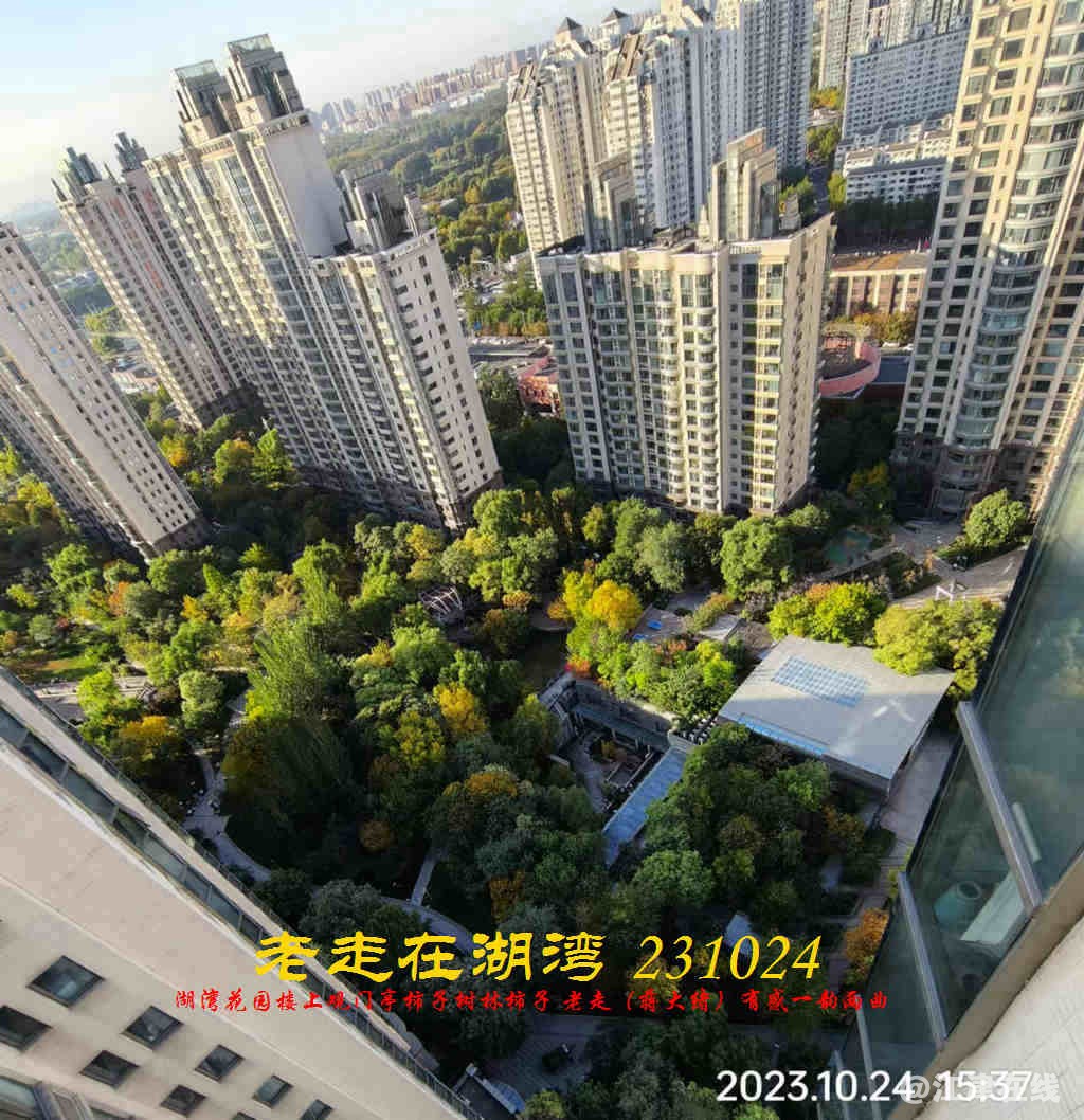 JYZ 20231024 WBQ (33).jpg