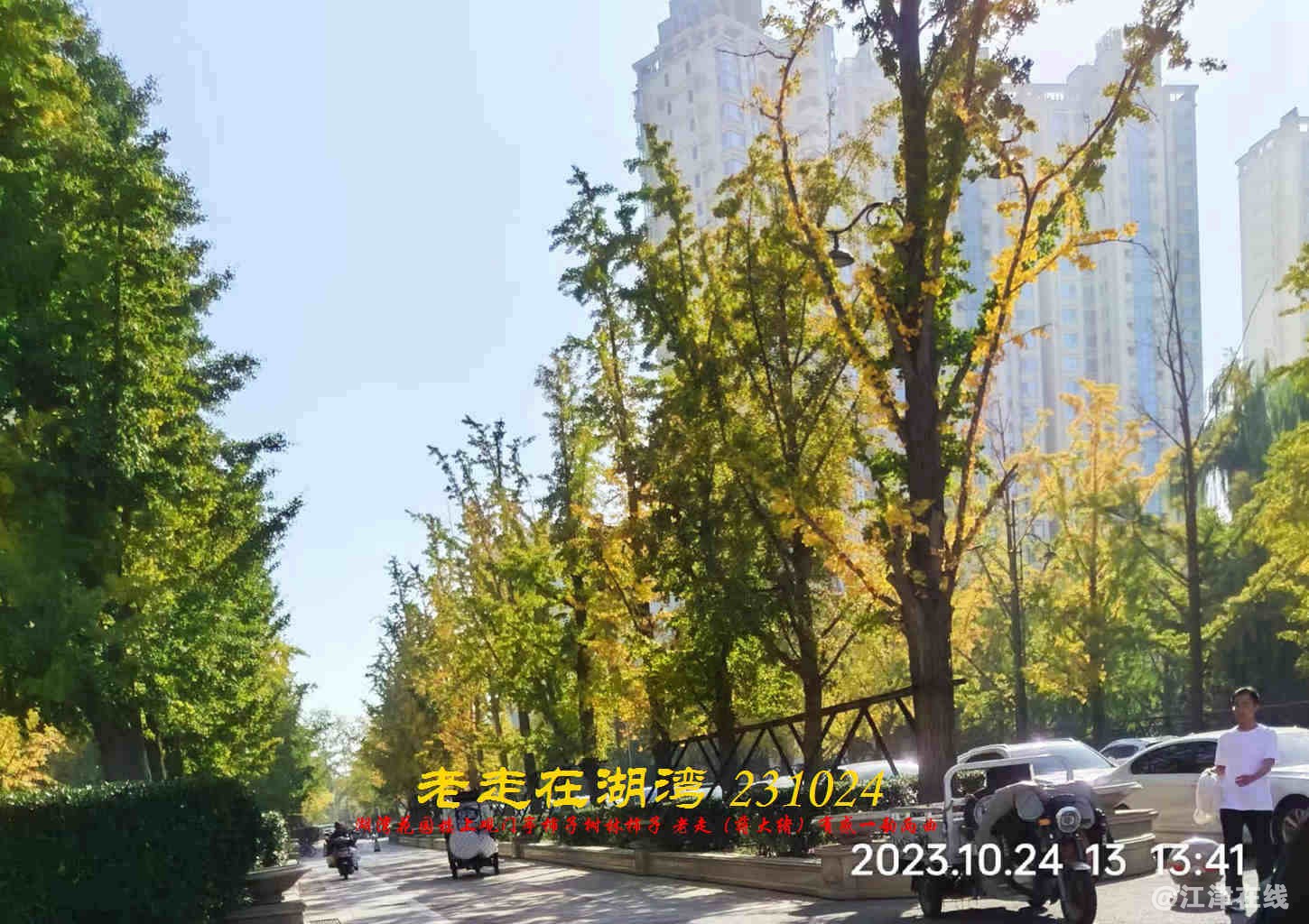 JYZ 20231024 WBQ (43).jpg