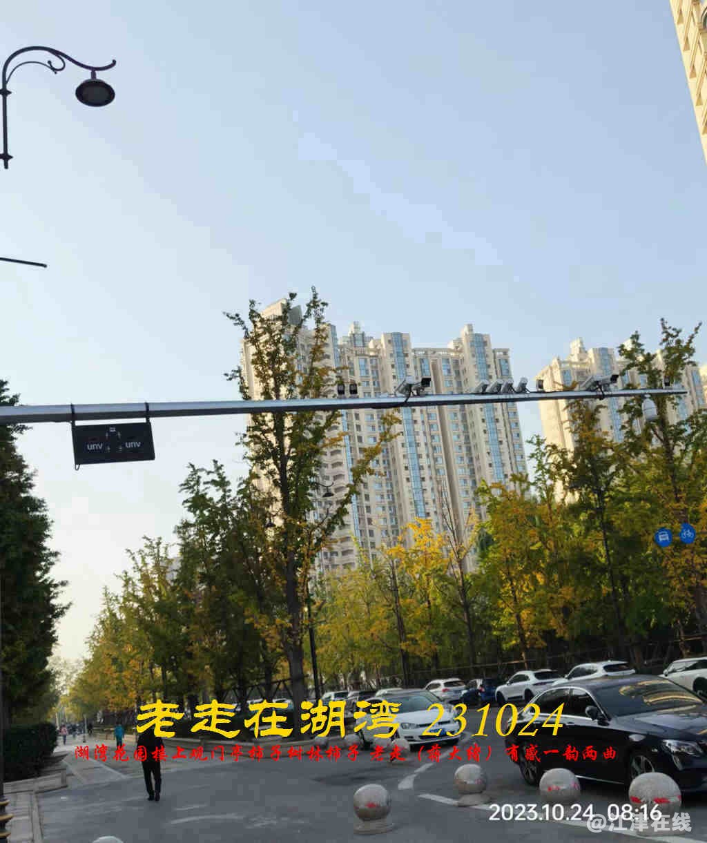JYZ 20231024 WBQ (42).jpg