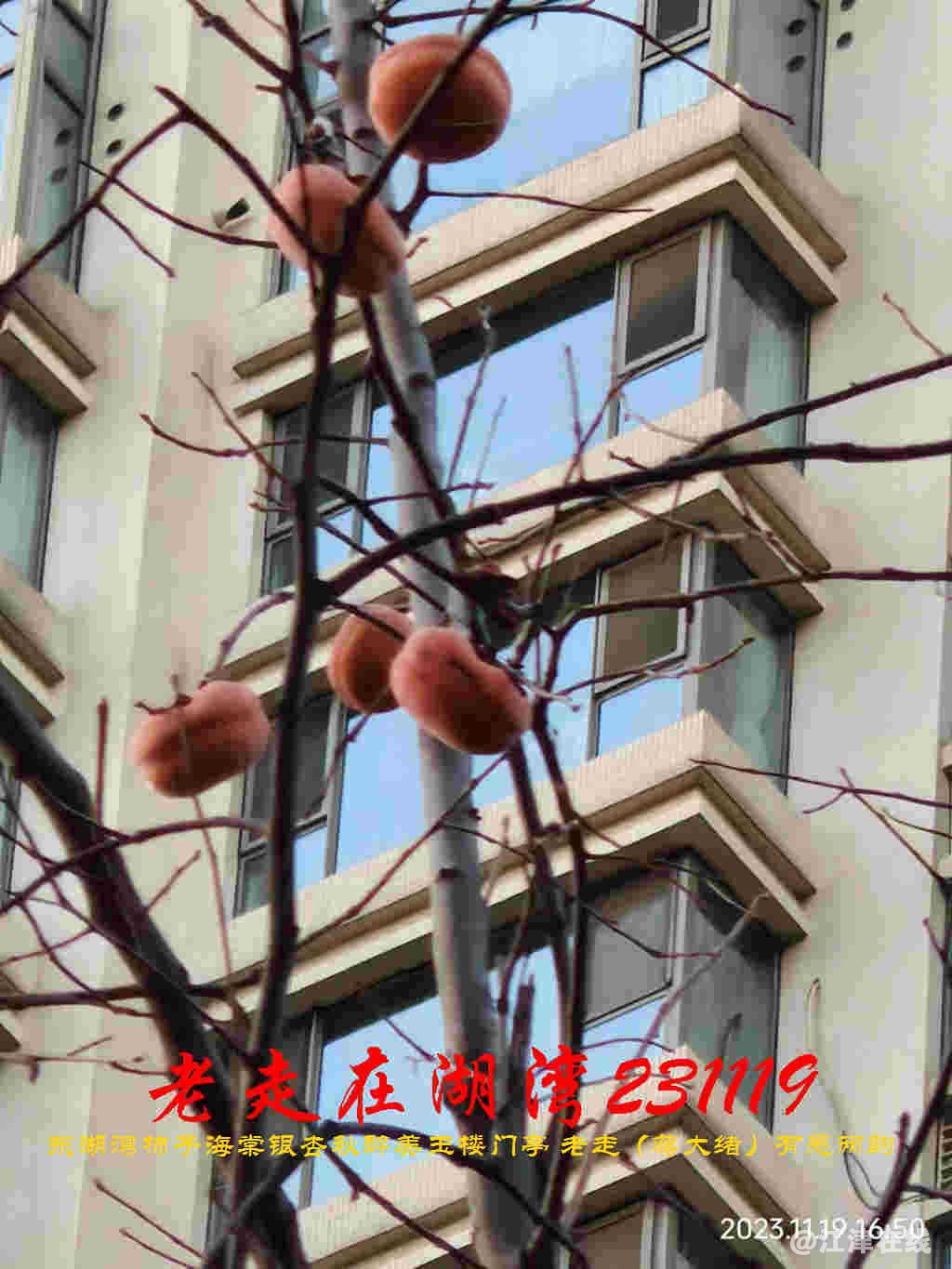 JYZ 20231119 WBQ (45).jpg