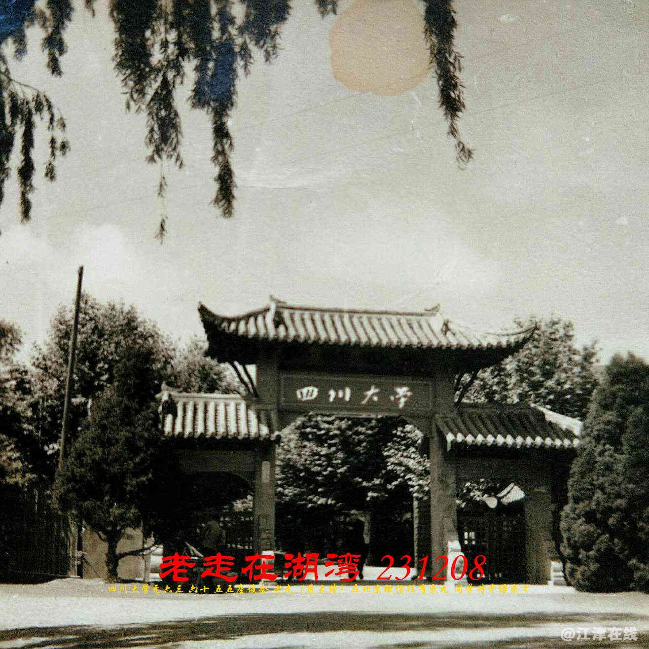 JYZ 20231208 WBQ (132).jpg