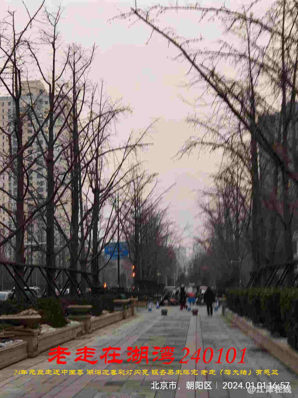 JYZ 20240101 FWBQ (100).jpg