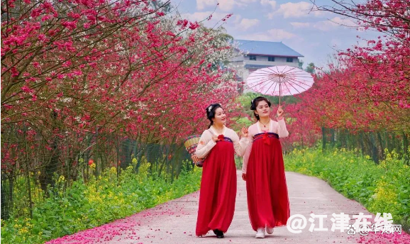 watermark,bucket_baidu-rmb-video-cover-1,image_YmpoL25ld3MvNjUzZjZkMjRlMDJiNjdjZWU1NzEzODg0MDNhYTQ0YzQucG5n,type_RlpMYW5UaW5nSGVpU01HQg==,w_15,text_QOWNjum-mee9kQ==,size_15,x_12,y_12,interval_2,color_FFFFFF,effect_softoutline,shc_000000,blr_2,align_1.jpg