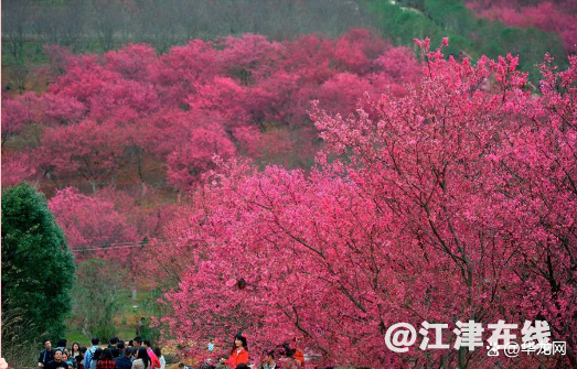 watermark,bucket_baidu-rmb-video-cover-1,image_YmpoL25ld3MvNjUzZjZkMjRlMDJiNjdjZWU1NzEzODg0MDNhYTQ0YzQucG5n,type_RlpMYW5UaW5nSGVpU01HQg==,w_14,text_QOWNjum-mee9kQ==,size_14,x_10,y_10,interval_2,color_FFFFFF,effect_softoutline,shc_000000,blr_2,align_1.jpg