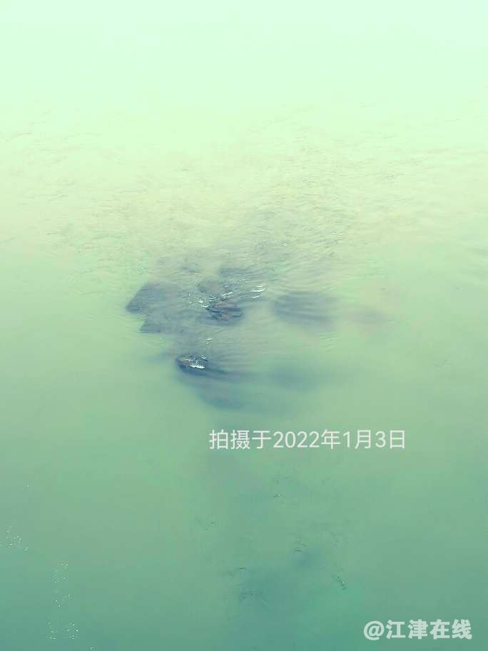 20240206100744front2_0_49039_FhvDTPLC_oAh6jl9yozUB5evSj34.jpg