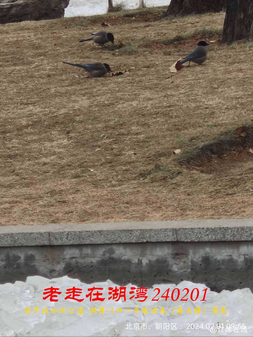 JYZ 20240201 WBQ (42).jpg