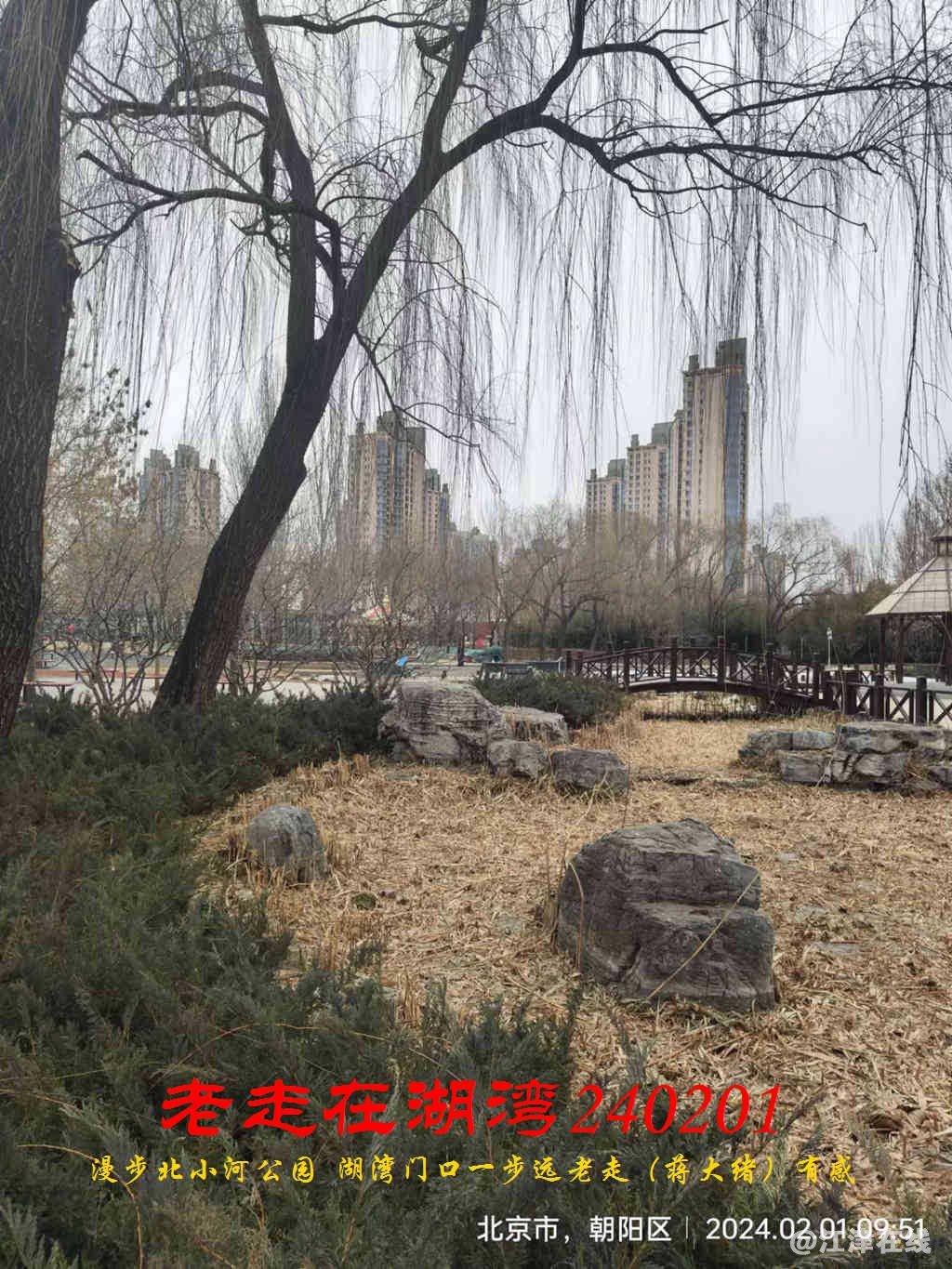 JYZ 20240201 WBQ (34).jpg