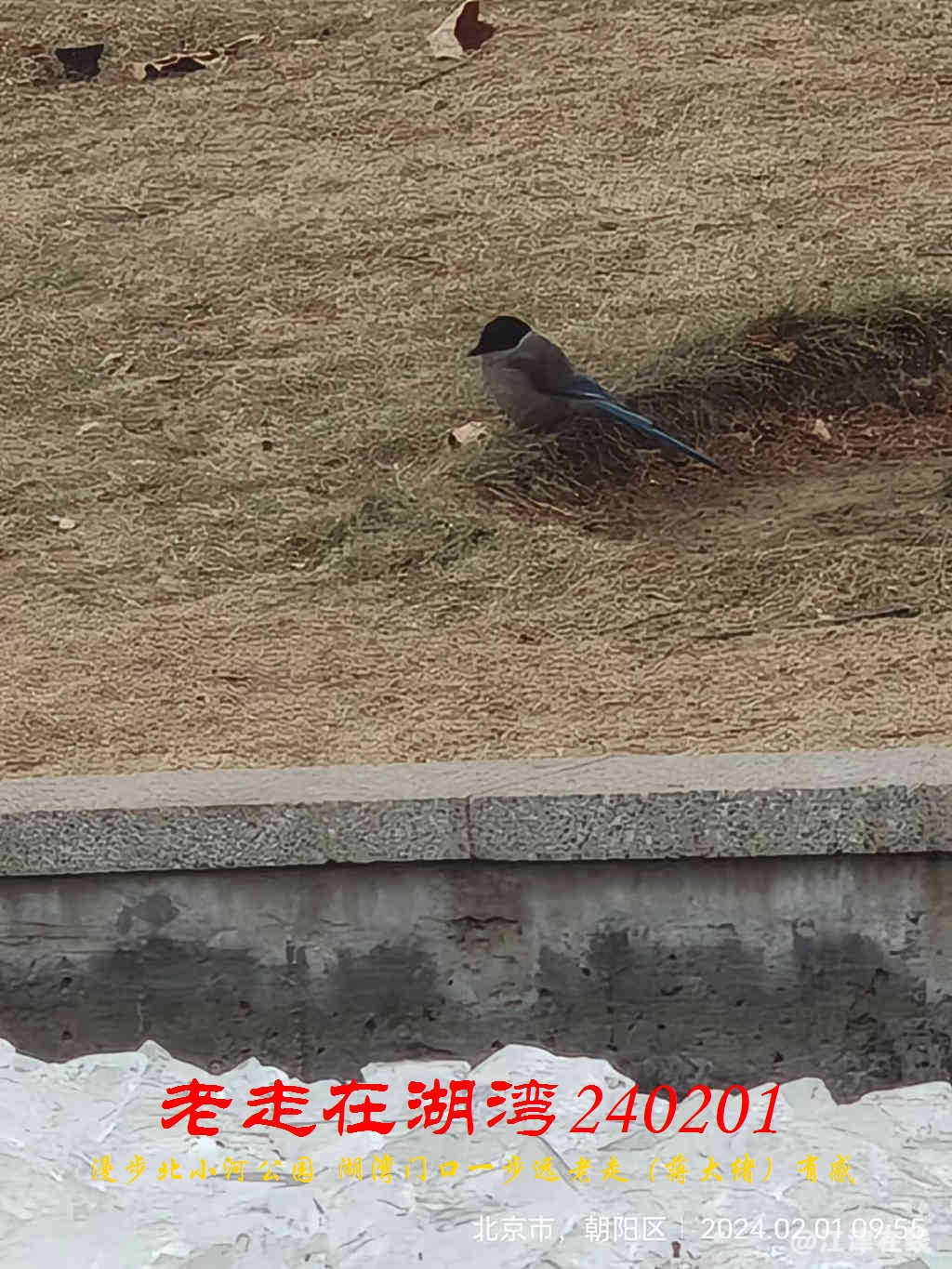 JYZ 20240201 WBQ (39).jpg