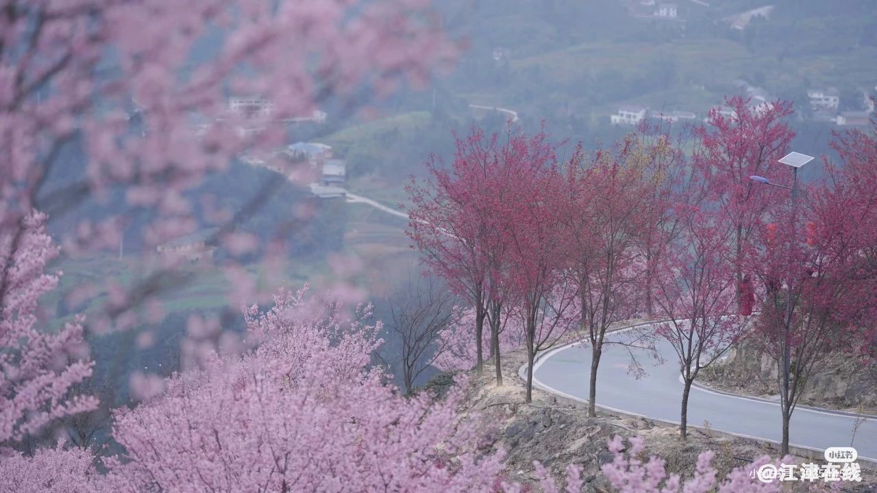 c43dd7e5f45699f52c62b2cf03d9e61d.jpg