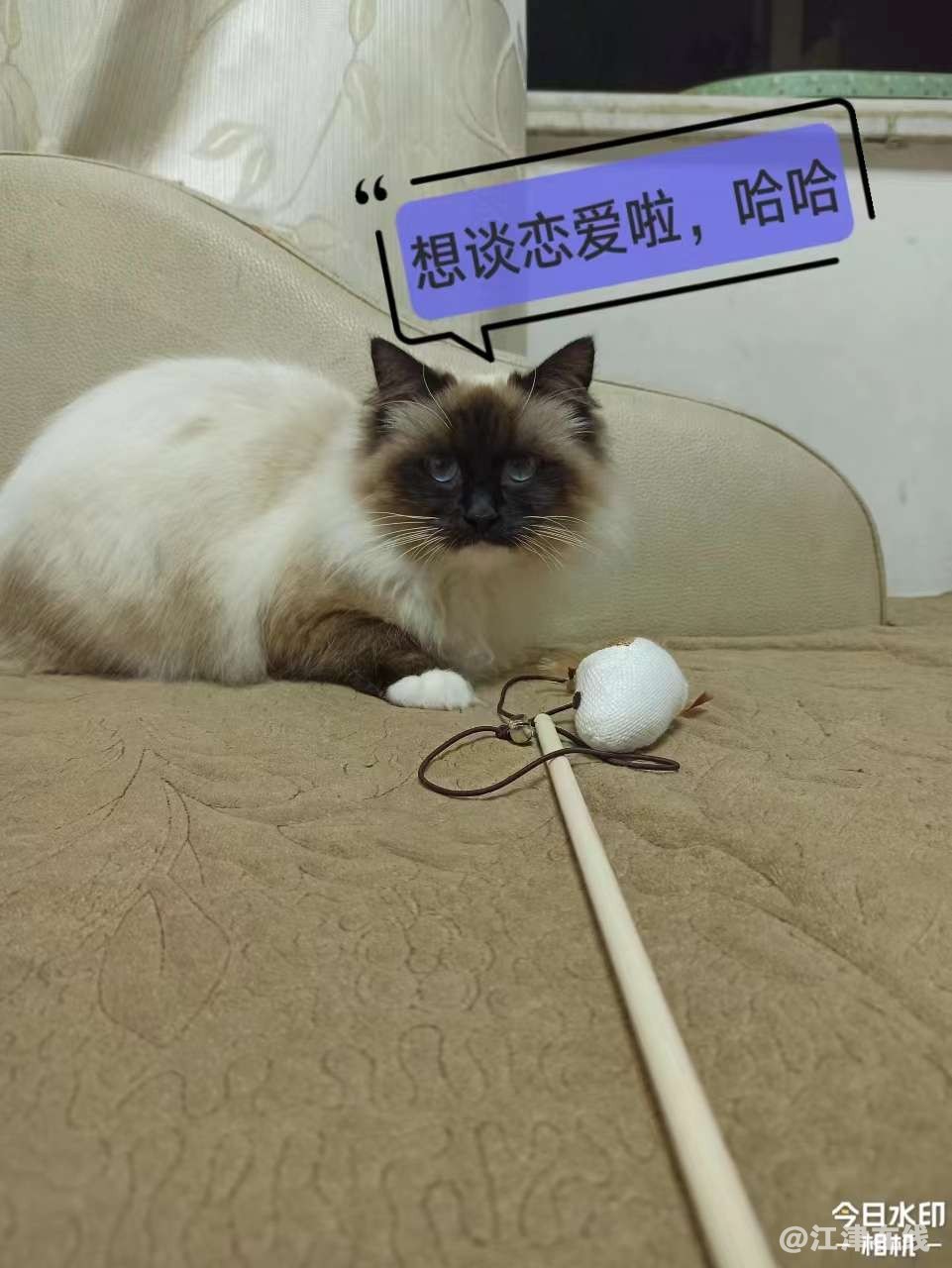 20240320193435front2_0_258620_Fu29aM2Ycm49UsTbHeFCp6MbAwYA.jpg