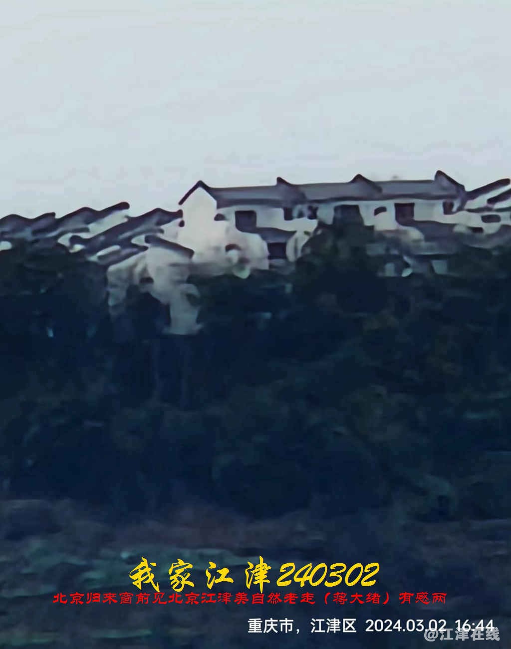 JYZ 20240302L WBQ (32).jpg