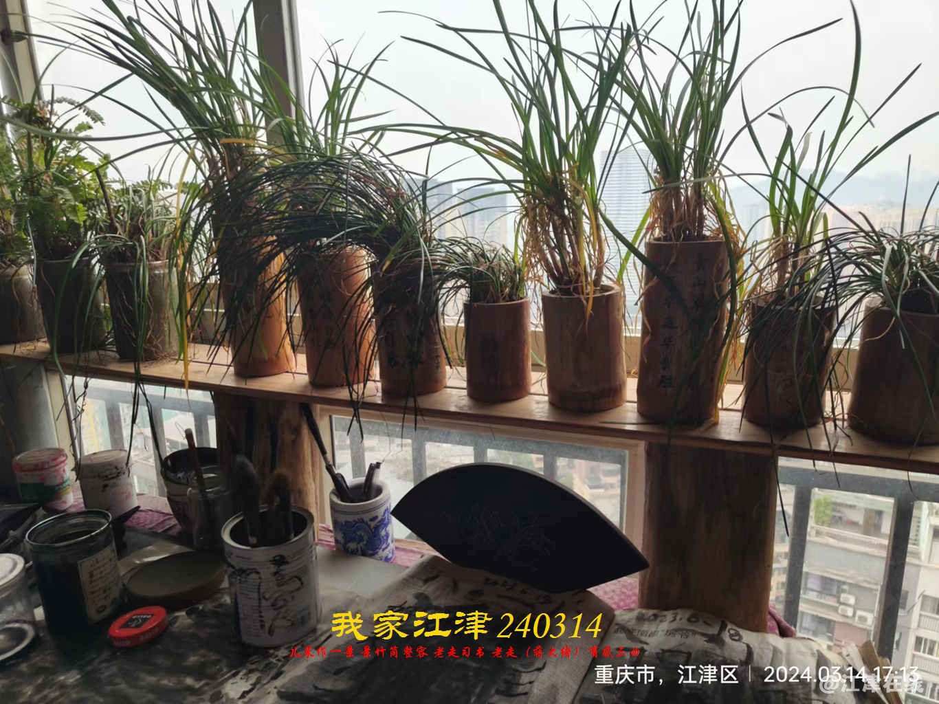 JYZ 20240314 WBQ (7).jpg