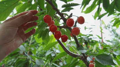 27c5070fcd9591625e5dc34d22e7e969.gif