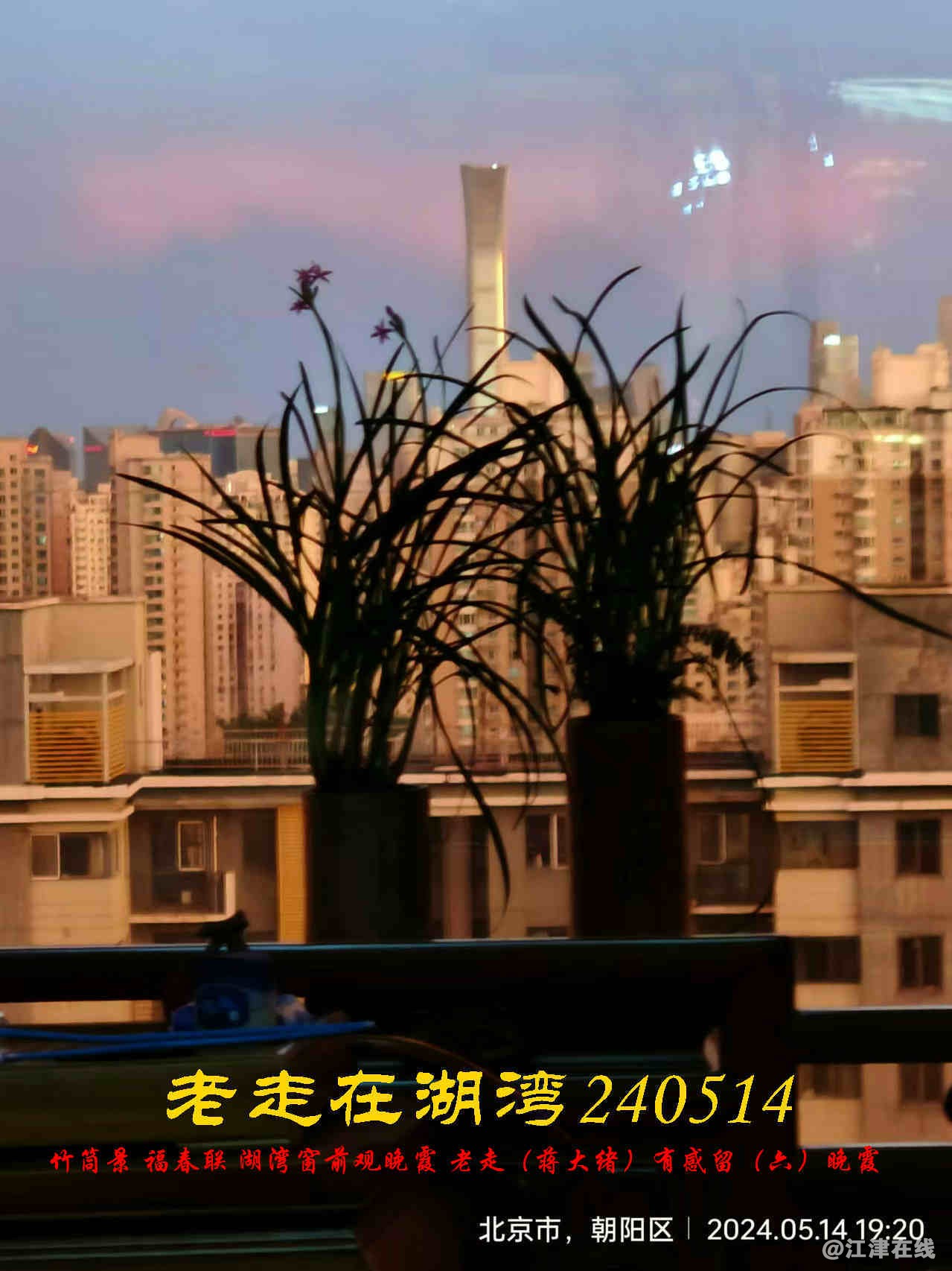 JYZ 20240514 WBQ (13).jpg