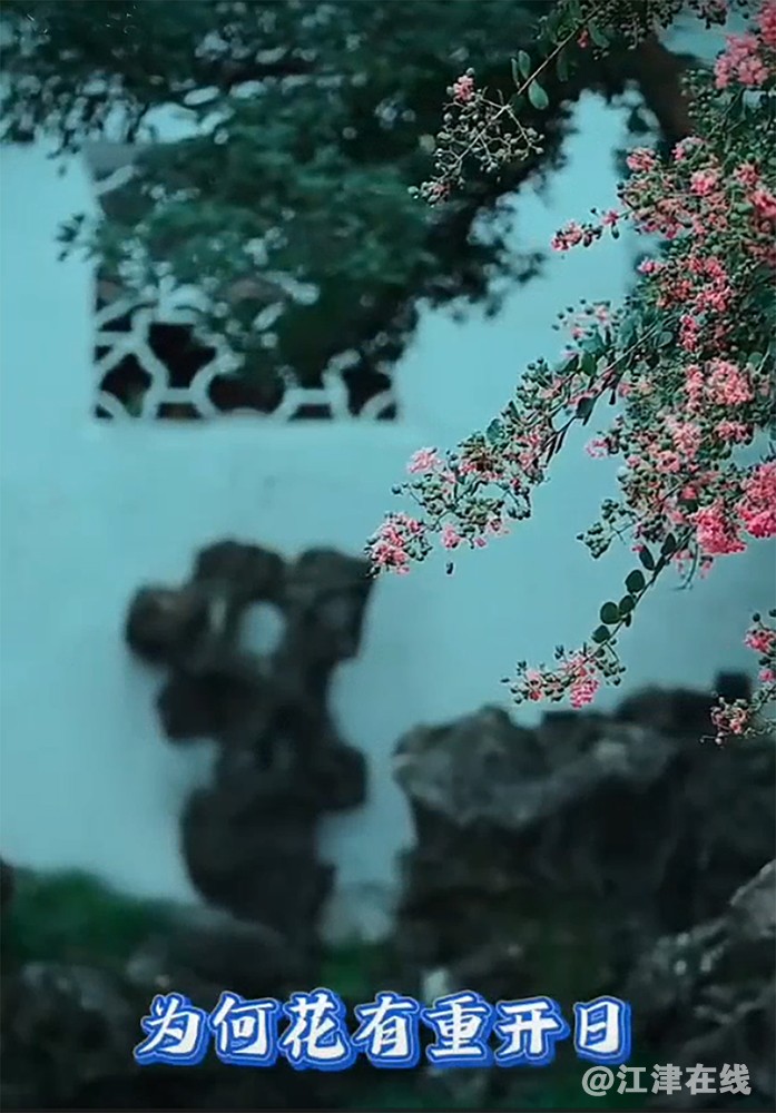 搜狗截图：人无再少年 (4)副本.jpg
