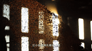 640?wx_fmt=gif&from=appmsg&wx_.jpg