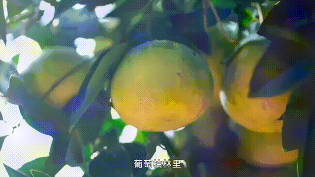 640?wx_fmt=gif&from=appmsg.jpg