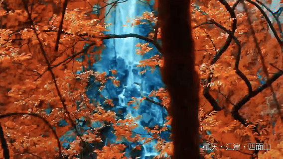 e9257d9972f7273343e9f4e0dc198af4.gif