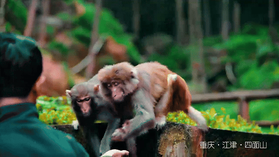 32125d8e737c50433bf70c6c71478528.gif