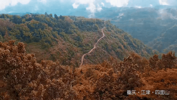 db34cb9db4f0854fe1e2d0feb264e1dd.gif