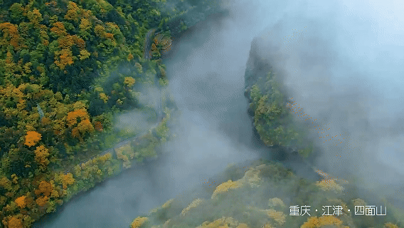 d3d877712827ad3b7ff6333802504f70.gif