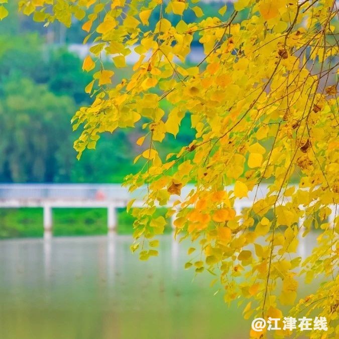 fc049bd198241f415ec54e2d93703a9f.jpg