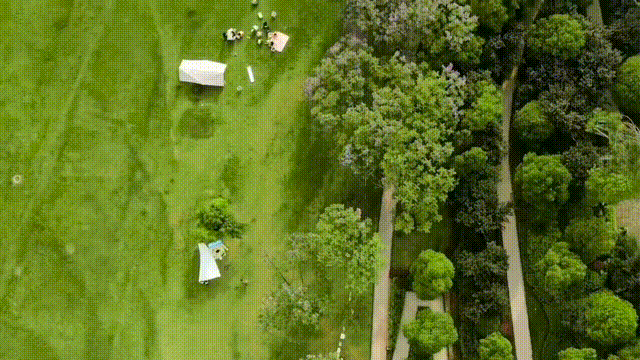 640?wx_fmt=gif&from=appmsg.jpg