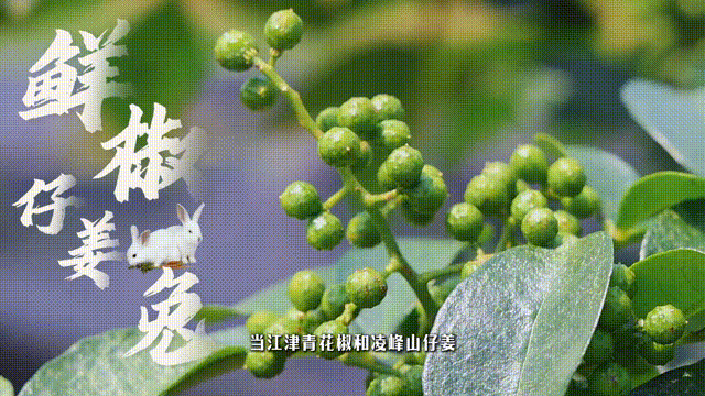 640?wx_fmt=gif&from=appmsg&wx_.jpg