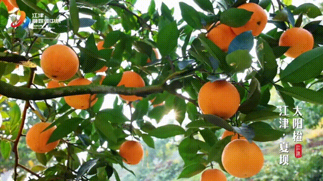 640?wx_fmt=gif&from=appmsg.jpg