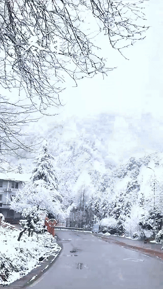 ab5d2a7a9a88000031df7cd1b359ba01.gif