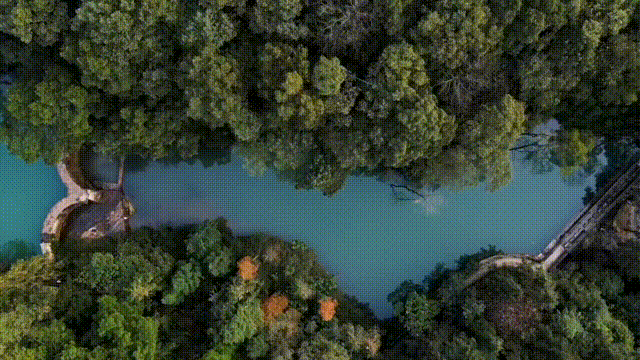 640?wx_fmt=gif&from=appmsg&wx_&wx_.jpg