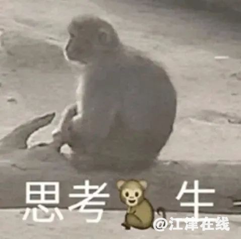 a3b8b2cb4c1d0c8adc447d0960fcdb3e.jpg