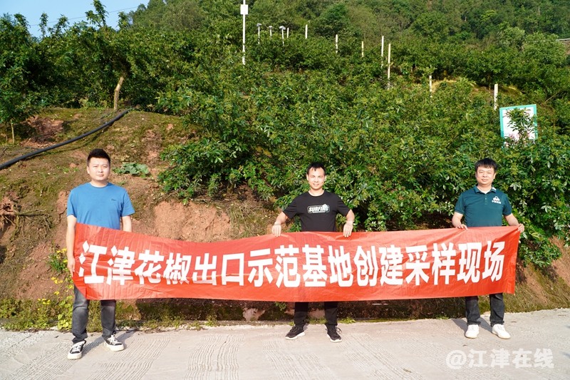 微信图片_20250505112705.jpg