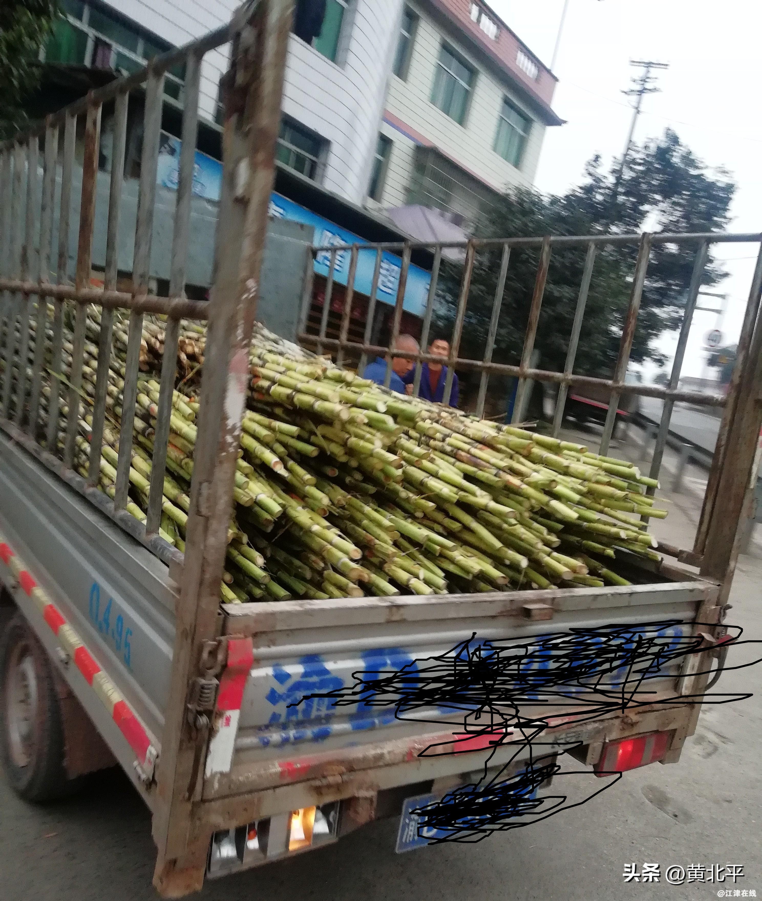 8e13b337c1fe4e11aaaac8648f66f4b0~tplv-tt-origin-web:gif.jpeg?_iz=58558&from=article.jpg